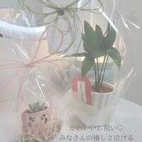 画像272