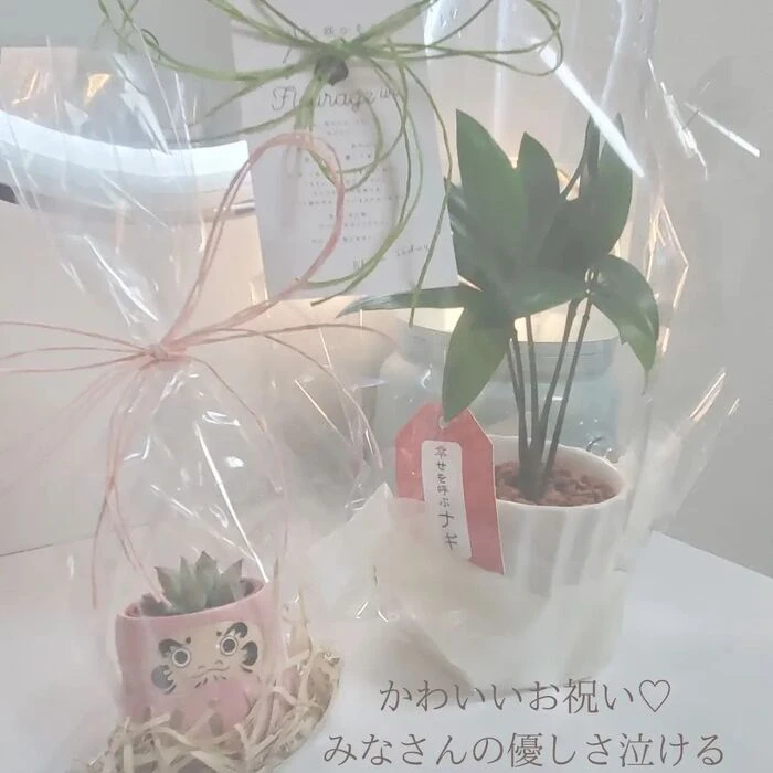 画像272